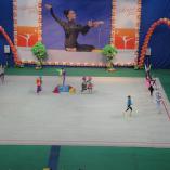Турнир «Алина» 2013 - 18 