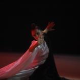 Фестиваль «Алина» 2016 - 258 