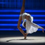 Фестиваль «Алина» 2016 - 296 