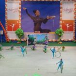 Турнир «Алина» 2013 - 59 